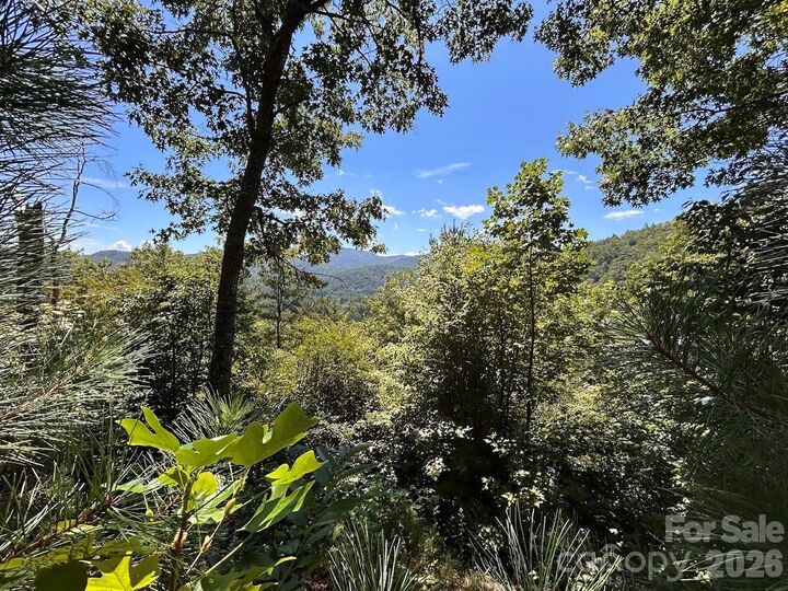 Property Photo:  9999 US Hwy 441 Highway S  NC 28779 