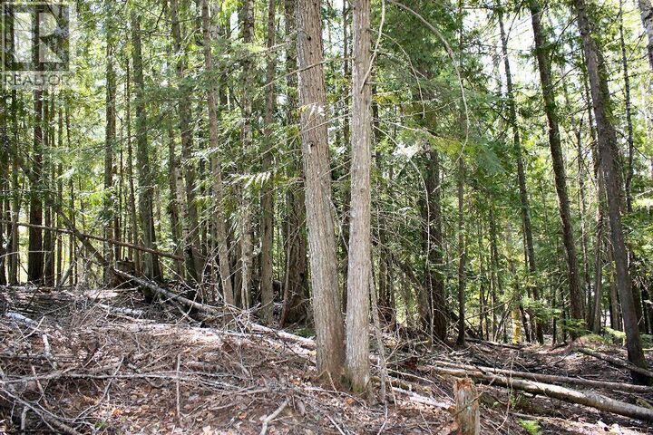 Property Photo:  366 Caribou Creek Road  BC V0G 1R1 