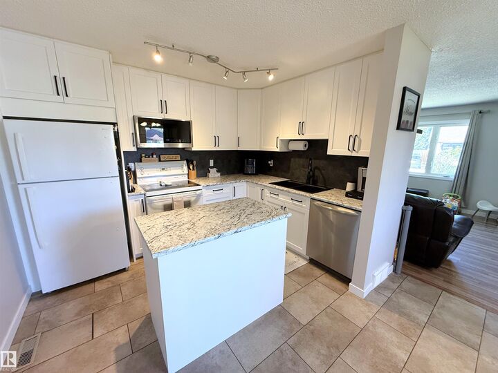 Property Photo:  10107 171A Avenue NW  AB T5X 4L3 