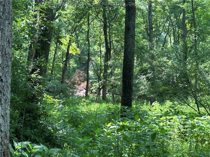 Property Photo:  1640 Charleston Road  WV 25276 