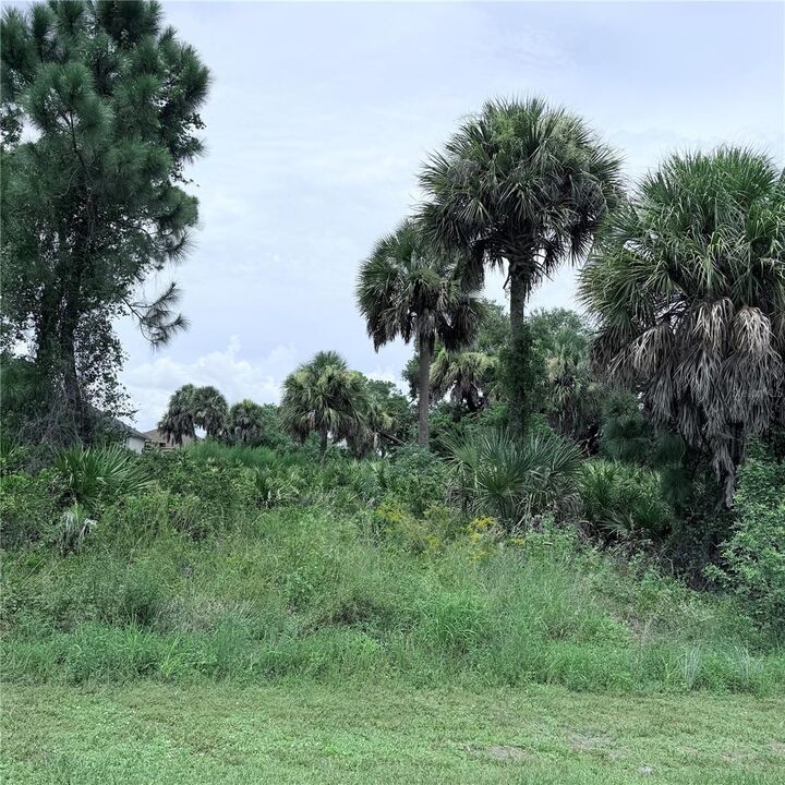 Property Photo: Torino Street FL 34287