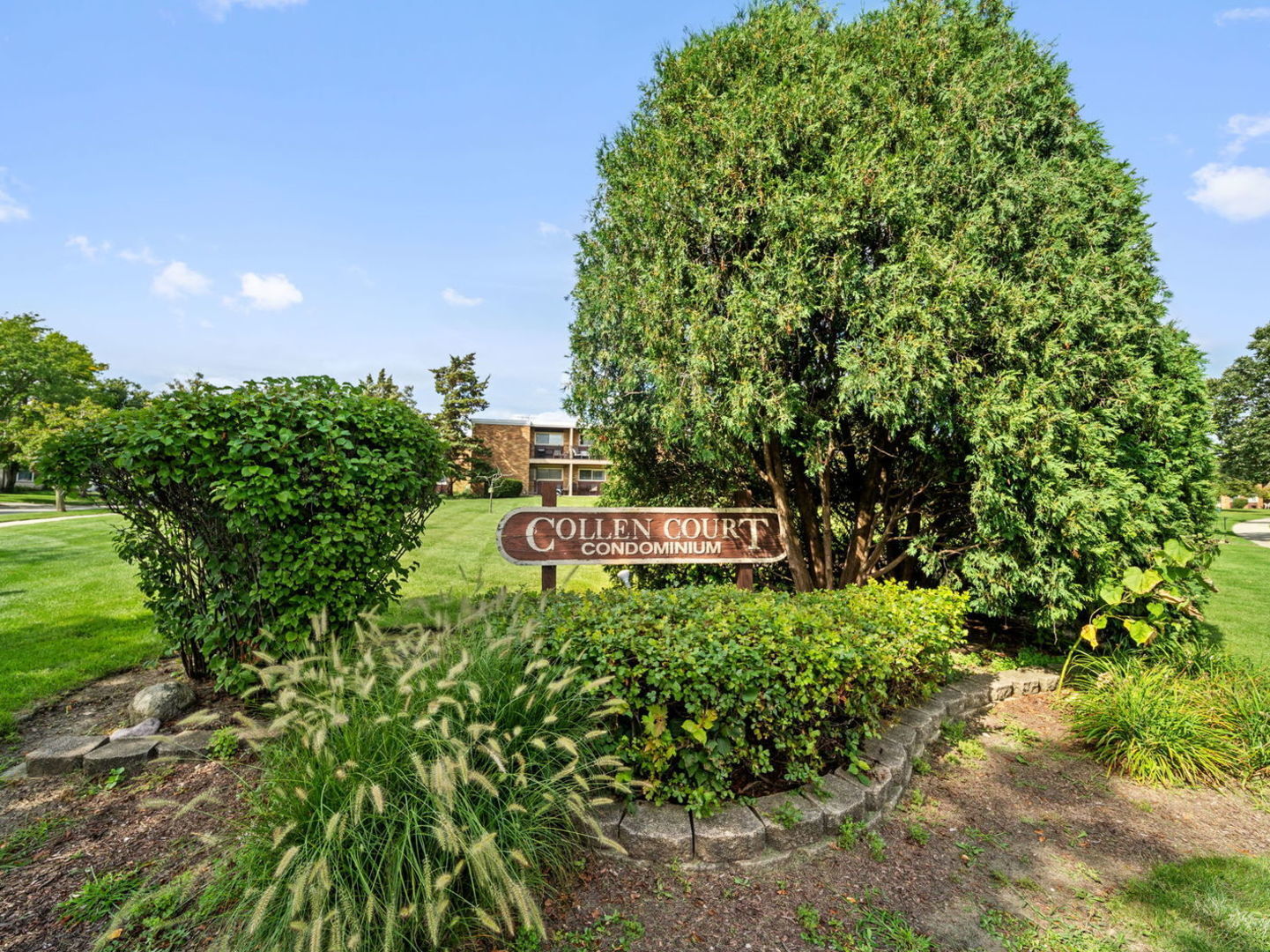 Property Photo: 212 Collen Drive 121 IL 60148