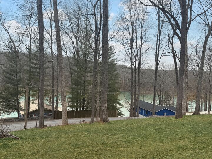 Property Photo: 559 Hickman Shores Rd TN 37058