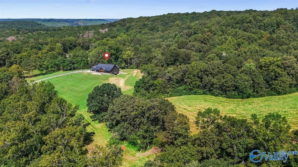 Property Photo:  1128 Double S Mountain Road  AL 35019 