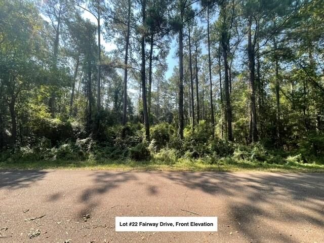 Property Photo:  Lot #22 Fairway Drive  LA 70420 