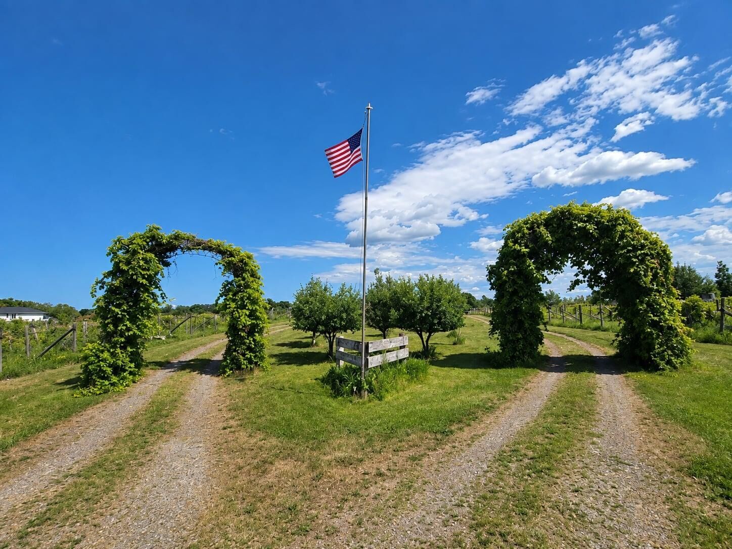 Property Photo:  40306 Torchlight Road  MN 56342 