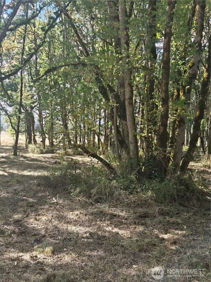 Property Photo:  144  Dowling Road  WA 98591 