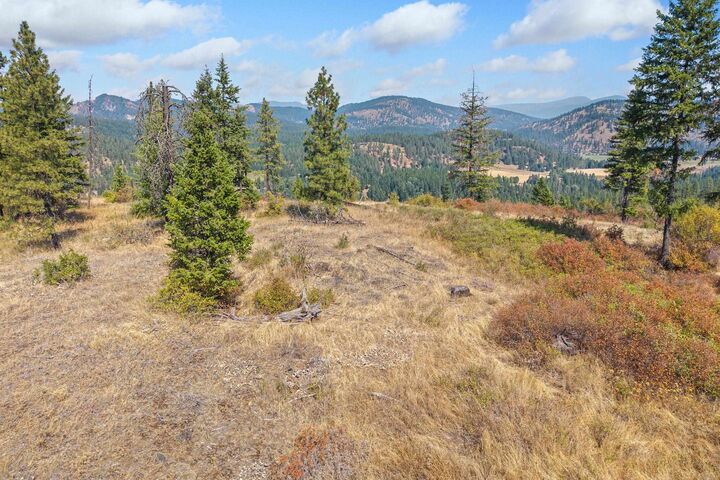 Property Photo:  Nka Hoag Rd  WA 99181 
