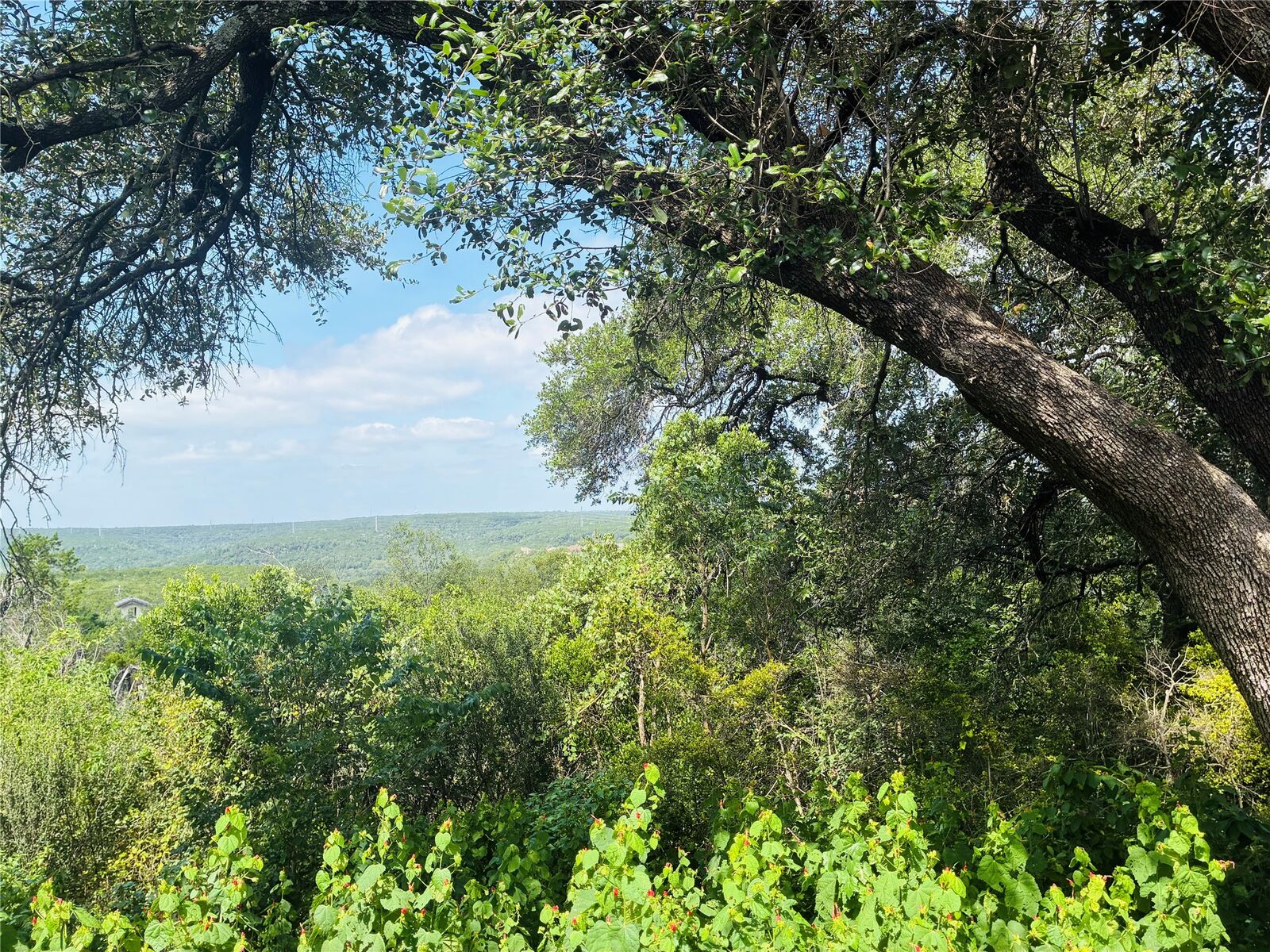 Property Photo:  10412 Double Spur Loop  TX 78759 