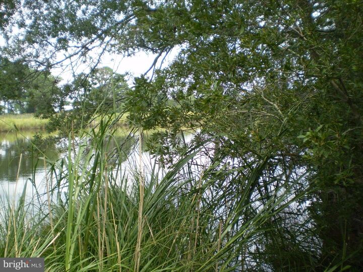 Property Photo:  0 Stewart Neck Road  MD 21853 