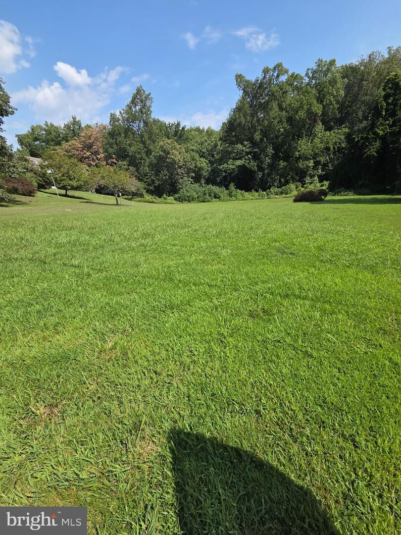 Property Photo:  Bennett Avenue  MD 21901 