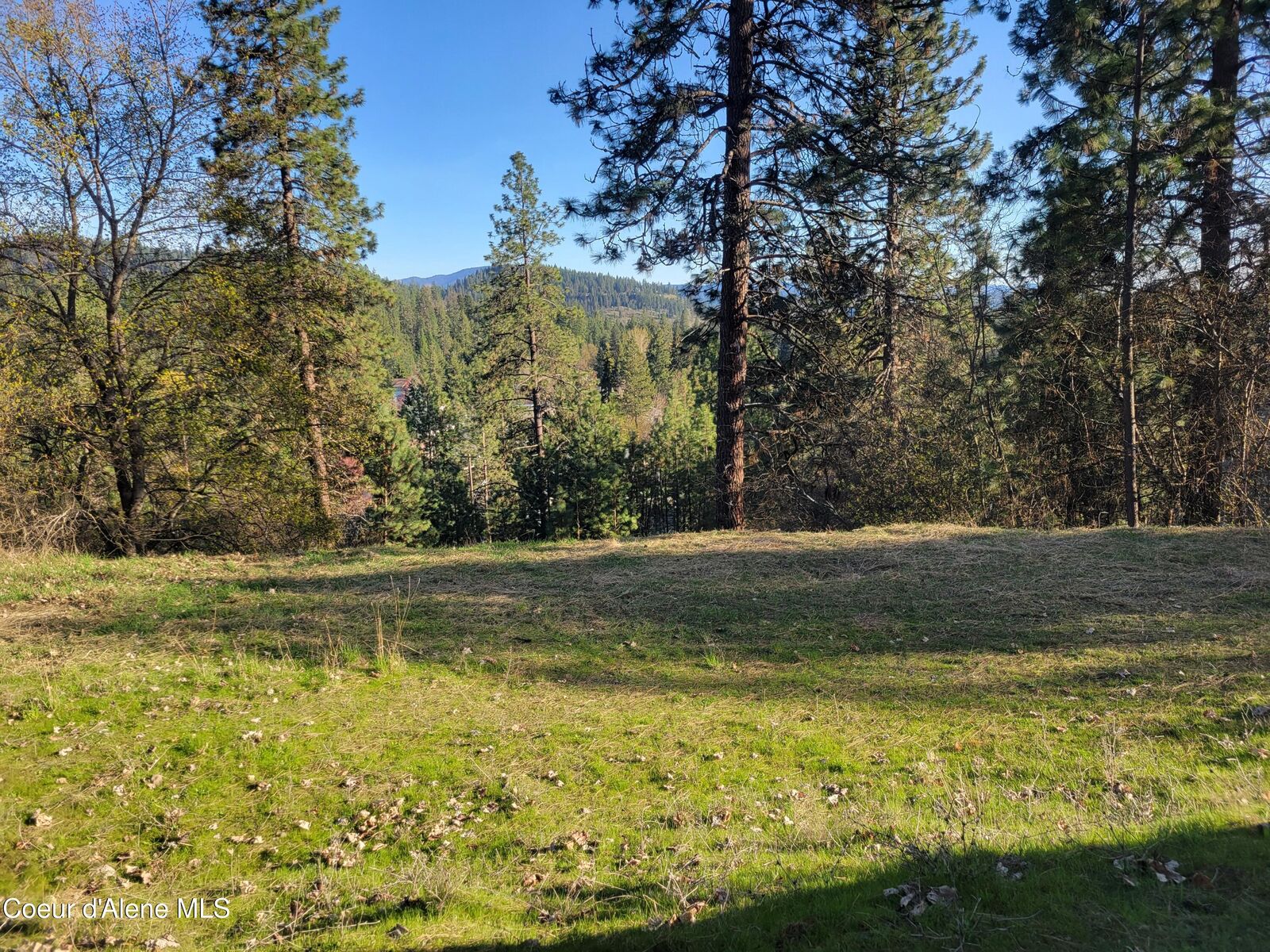 Property Photo:  2190 E Stanley Hill Rd  ID 83814 