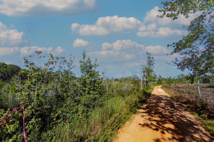 Property Photo:  Tract 7 Carlisle Gap Road  GA 31836 
