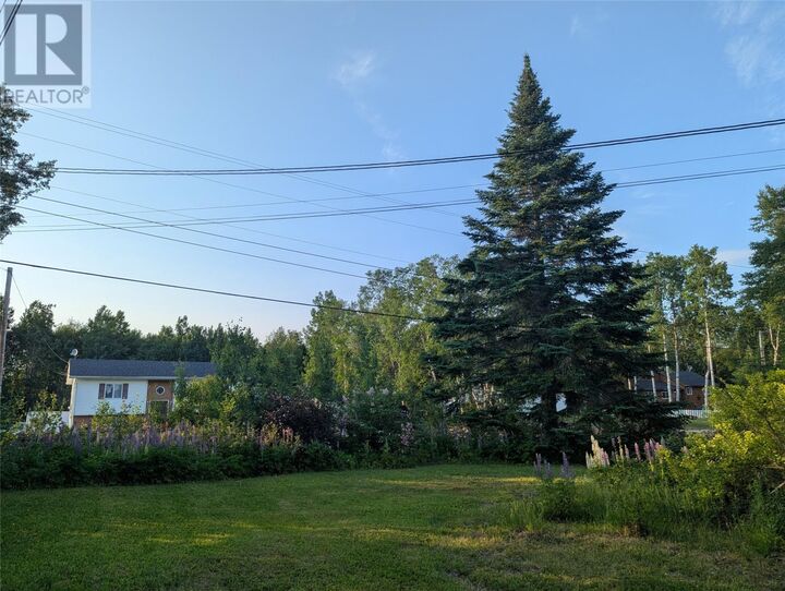 Property Photo:  15 Kessessaskiou Street  NL A0P 1E0 