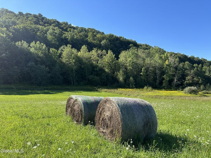 Property Photo:  711 Gifford Hollow Road  NY 12023 
