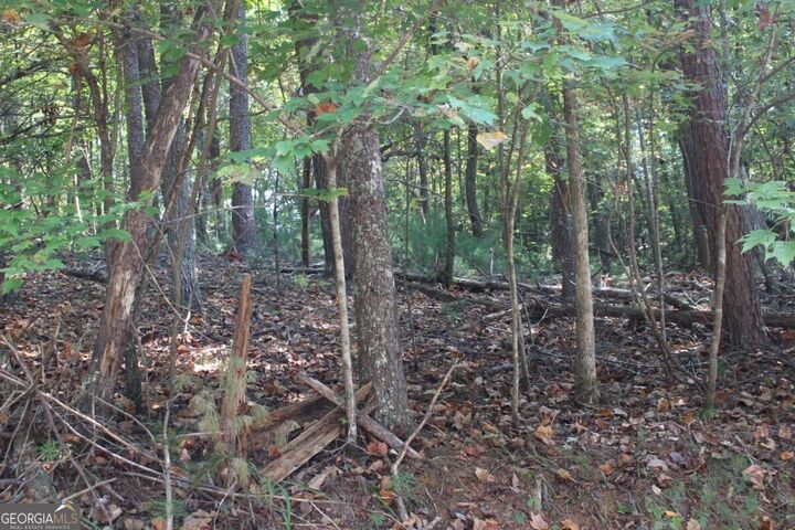 Property Photo: Lot 546 Satsuma North Court GA 30540