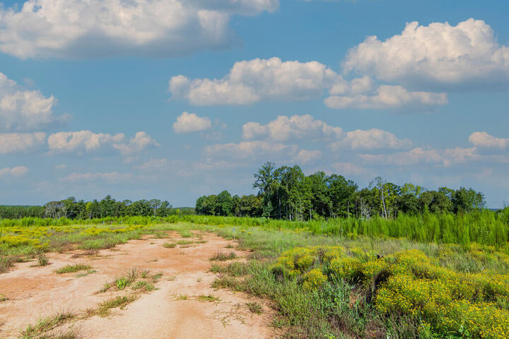Property Photo:  Tract 5 Carlisle Gap Road  GA 31836 