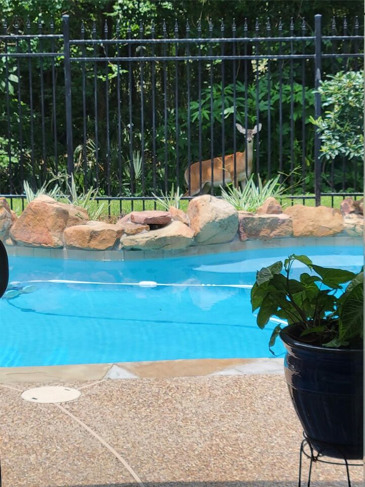 Property Photo: 6230 Agassi Ace Court Court TX 77379
