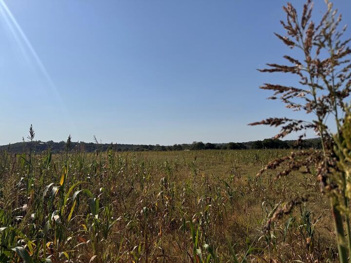 Property Photo:  113 Verde Creek  TX 78010 