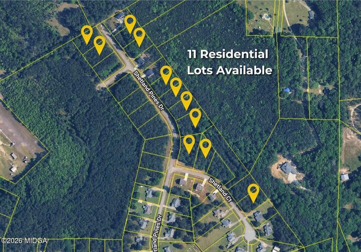 Property Photo:  167 Shetland Pines Drive  GA 31216 