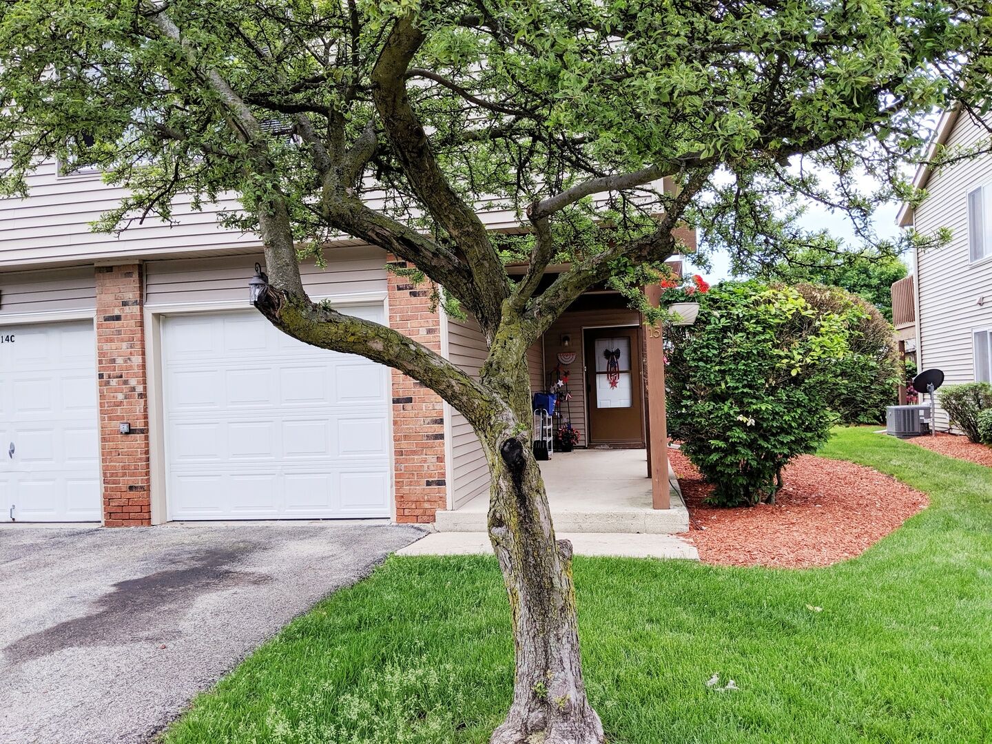 Property Photo: 15 Marywood Lane C IL 60440