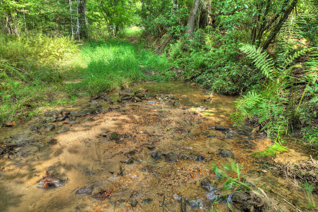 Property Photo: 4.70 Ac Chestnut Gap Lane GA 30513
