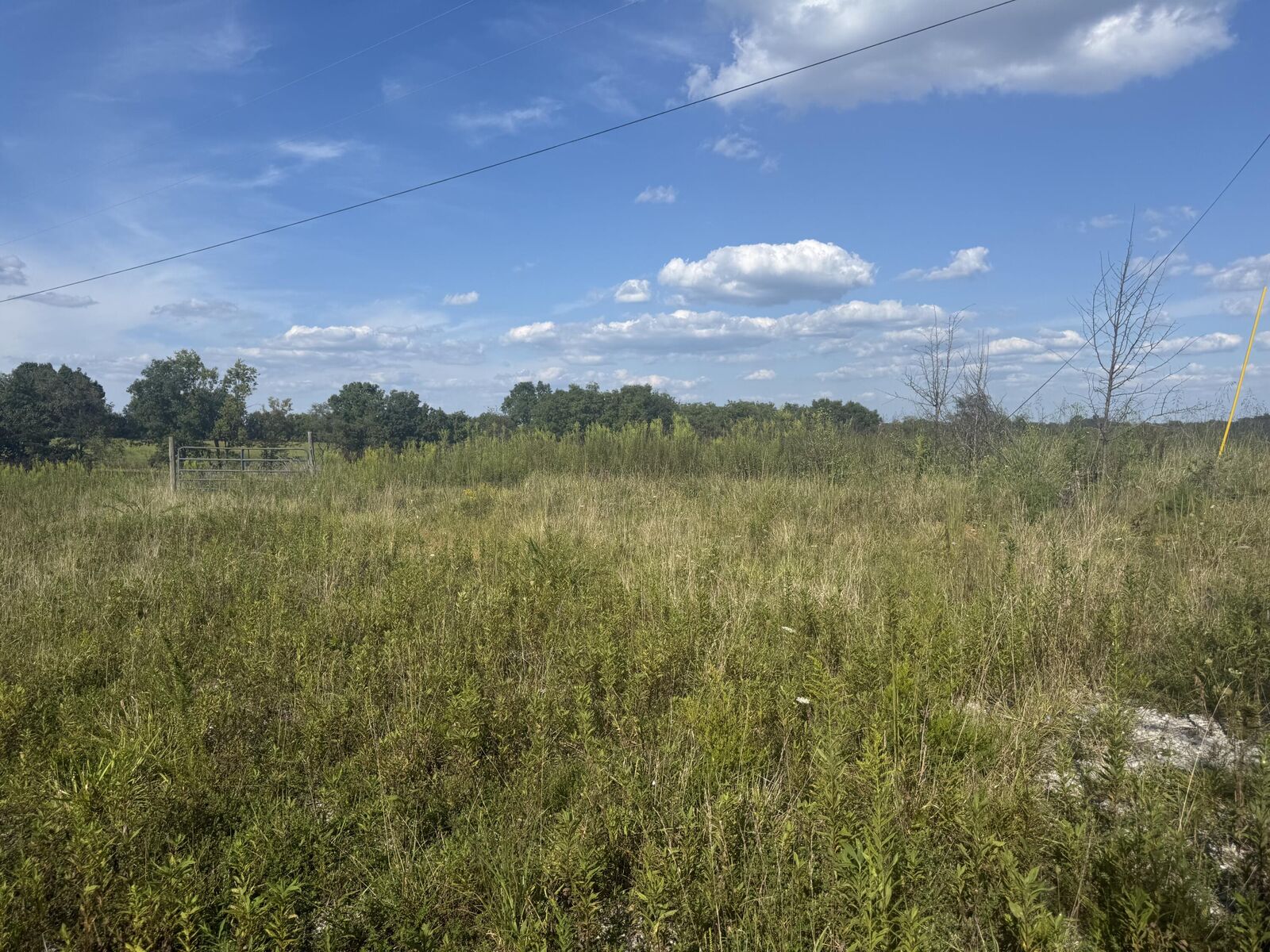 Property Photo:  64 Conroy Lane  KY 41040 