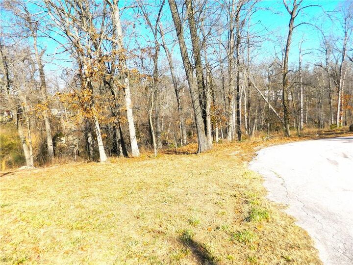 Property Photo: N Hilltop Circle AR 72756