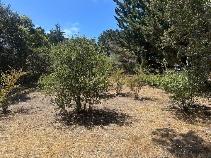 Property Photo:  26046 Highway 1  CA 93923 