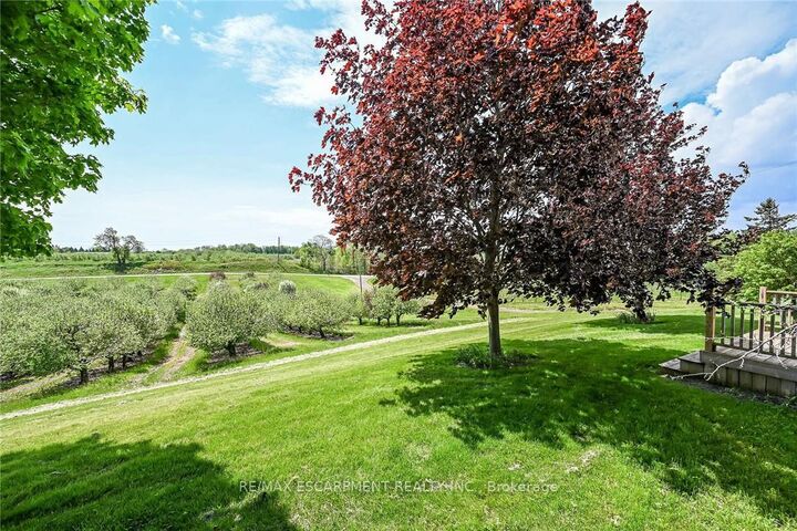 Property Photo:  903 Concession 13 Townsend Road  ON N3Y 4K3 