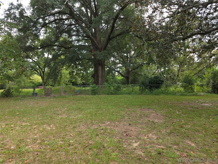 Property Photo: Tbd Newton Avenue AL 36360