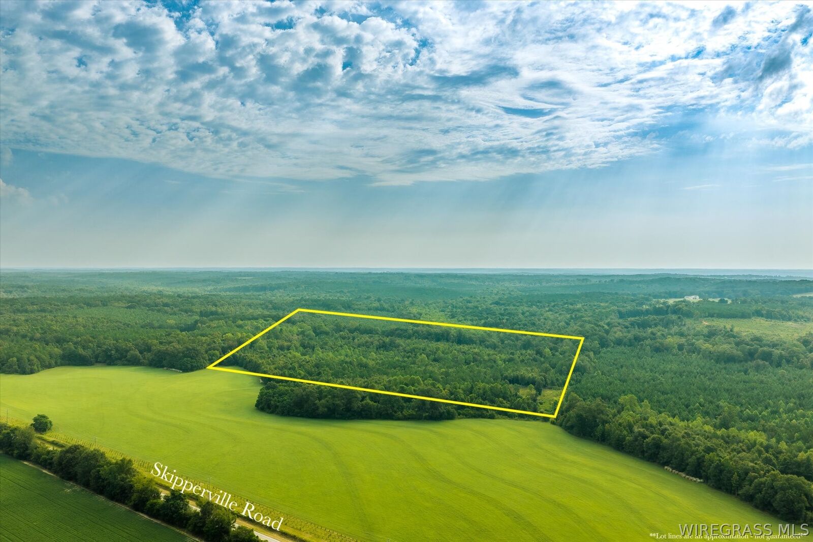 Property Photo:  0 Highway 105  AL 36374 