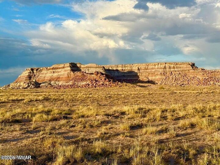 Property Photo:  8983 Down Under 38.82 Acres Road  AZ 86025 