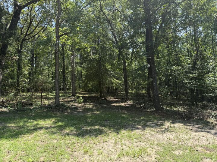 Property Photo: 264 Michelle Street SC 29048