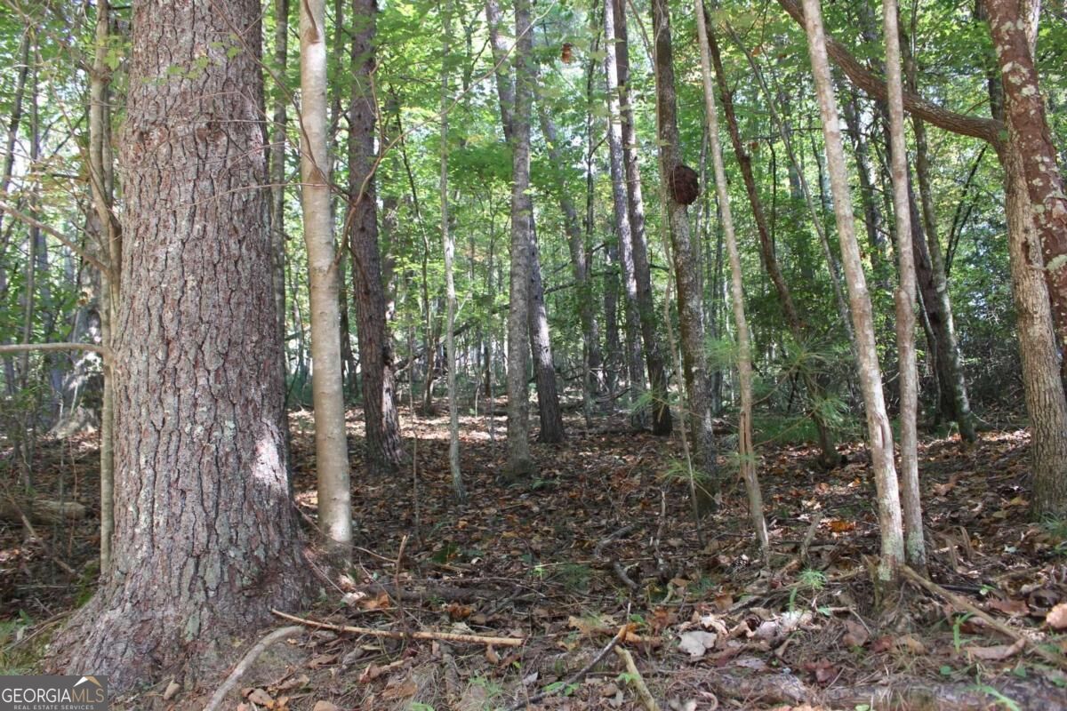 Property Photo: Lot 16R Leatherwood Mountain Road GA 30522