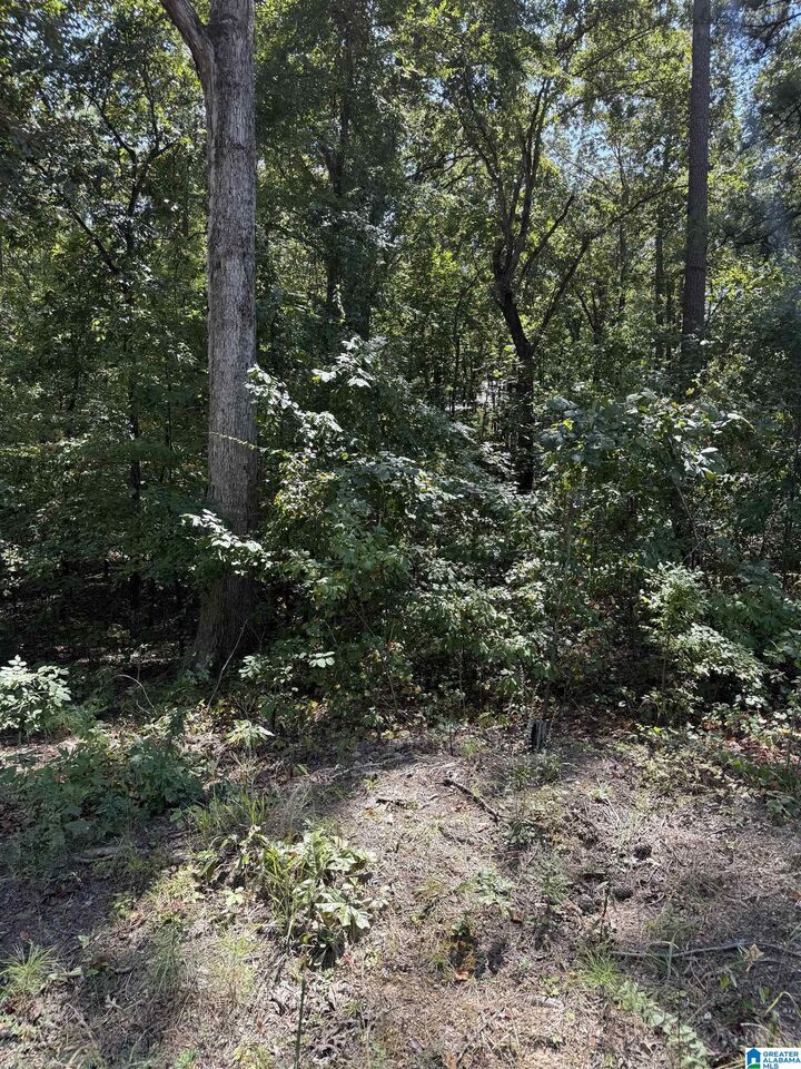 Property Photo: 0 S Lakeshore Drive 178 AL 35160