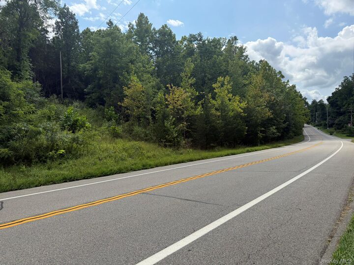Property Photo:  2318 Route 52  NY 12533 