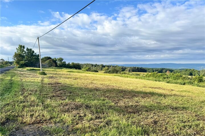 Property Photo:  Lot 1 0 County Road 4  NY 14841 
