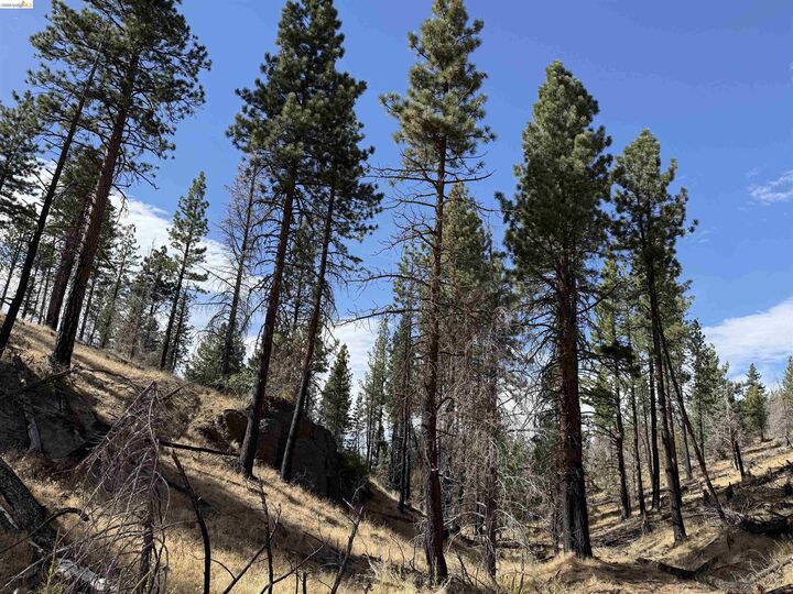 Property Photo:  00000 Butte Creek Rd  CA 96127 