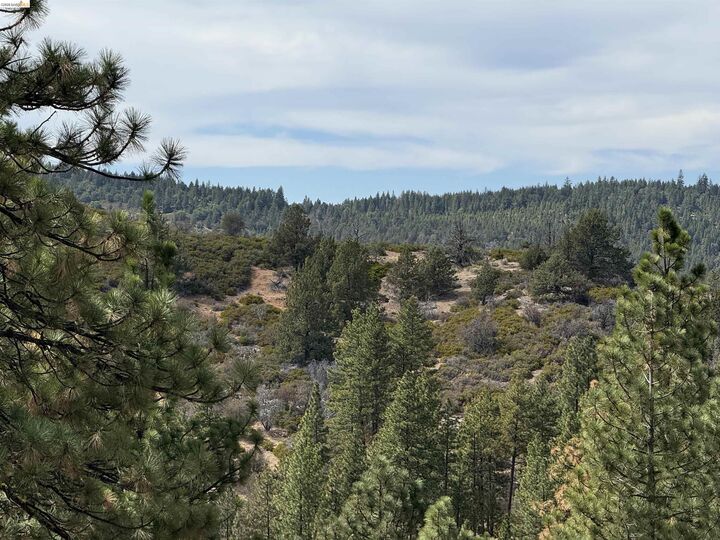 Property Photo:  00000 North Twin  CA 96009 