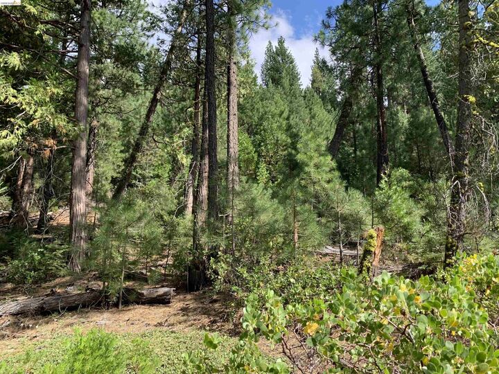 Property Photo:  00000 Hillcrest  CA 96101 