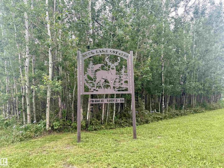 Property Photo:  Lot 6 Buck Lake Estates  AB T0C 0T0 