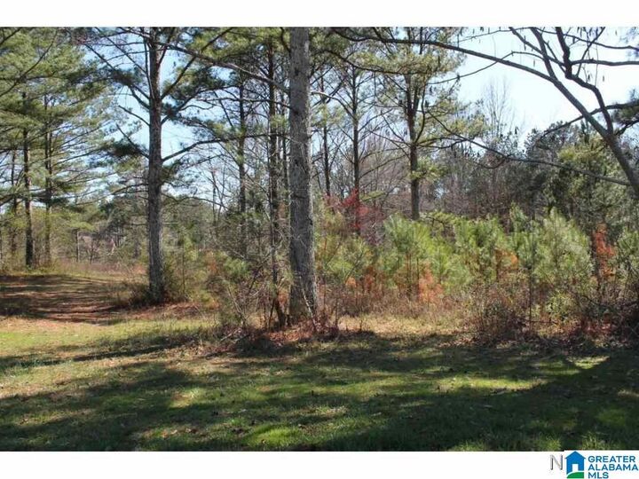 Property Photo:  Lot 71 Montcrest Drive 71  AL 35057 