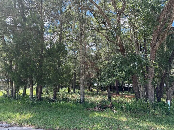 Property Photo:  7457 W Turkeyneck Court  FL 34448 