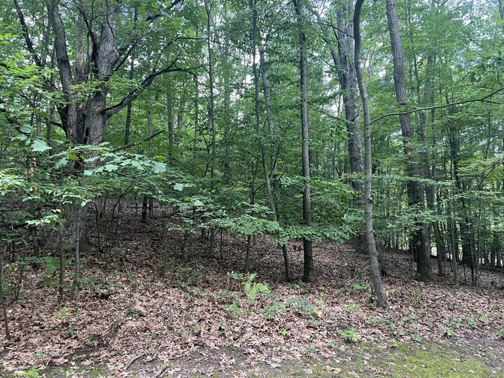 Property Photo: 9433 S Annie Lane MI 49337