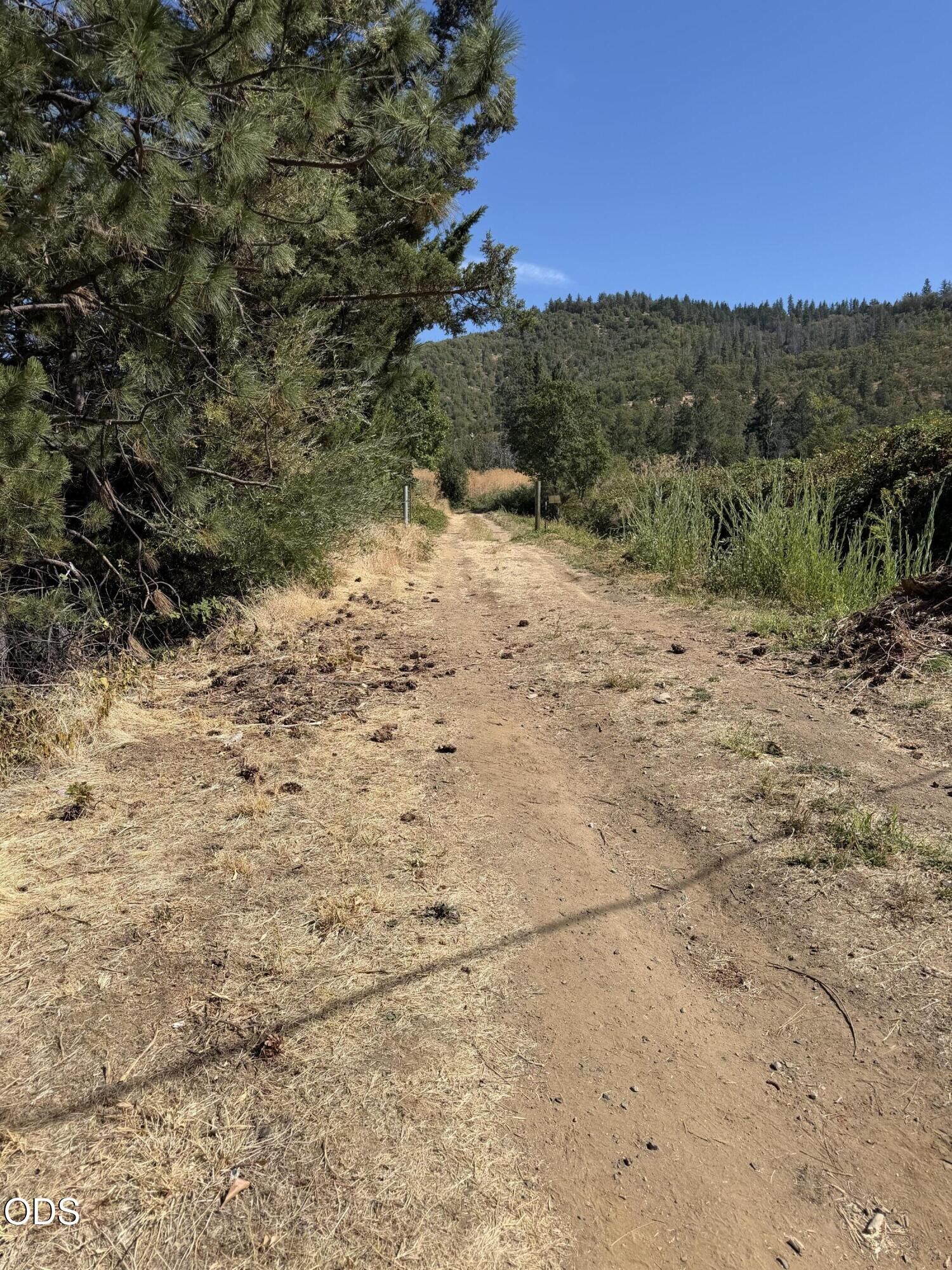 Property Photo:  Tolman Cr Road  OR 97520 