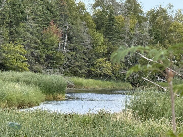 Property Photo:  858 Crooked Creek Road  PE C0A 1N0 