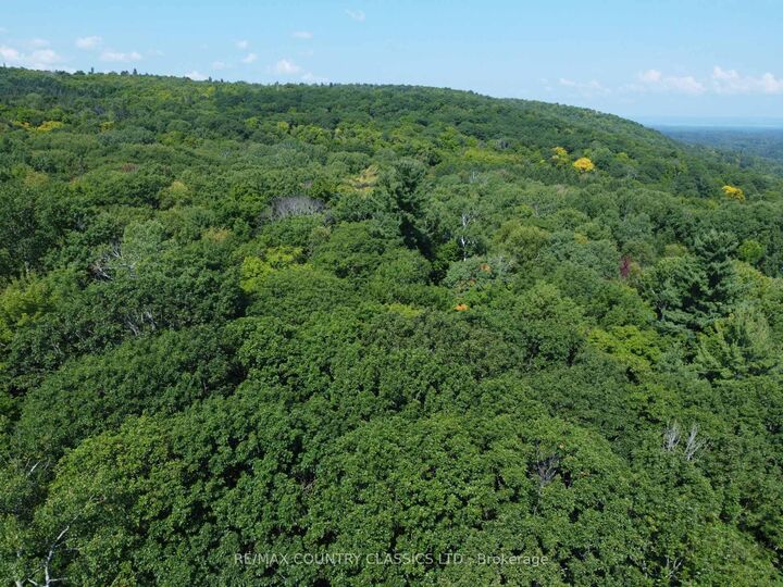 Property Photo:  388 O'Grady Settlement Road  ON K0J 2A0 