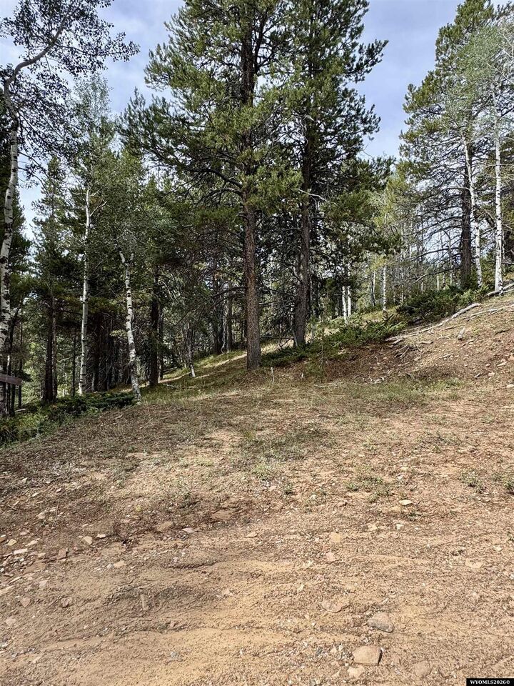 Property Photo: Lot 620 Starwallow #6 Road WY 82601
