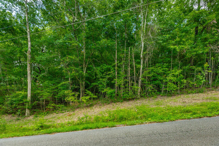 Property Photo:  1005 Tanya Drive  TN 37397 